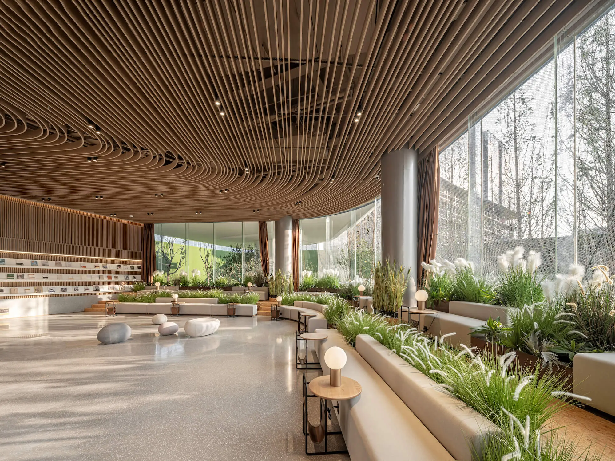 Greening Your Workspace: How Biophilic Design Boosts Productivity