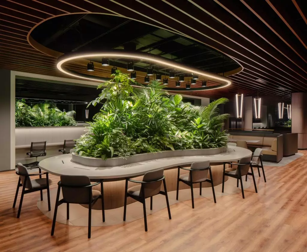 Greening Your Workspace: How Biophilic Design Boosts Productivity