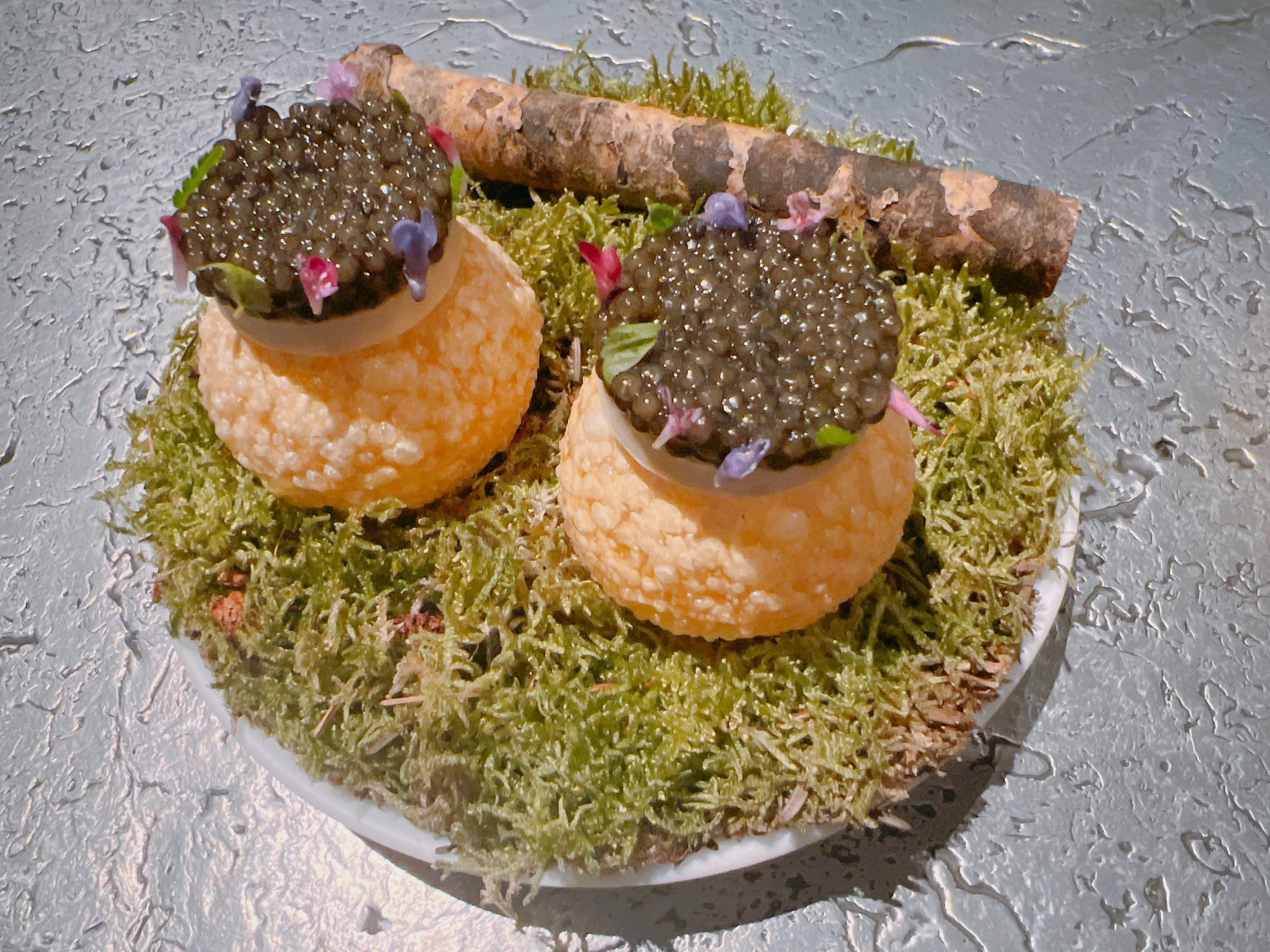 Alchemist - Nolita Harbour