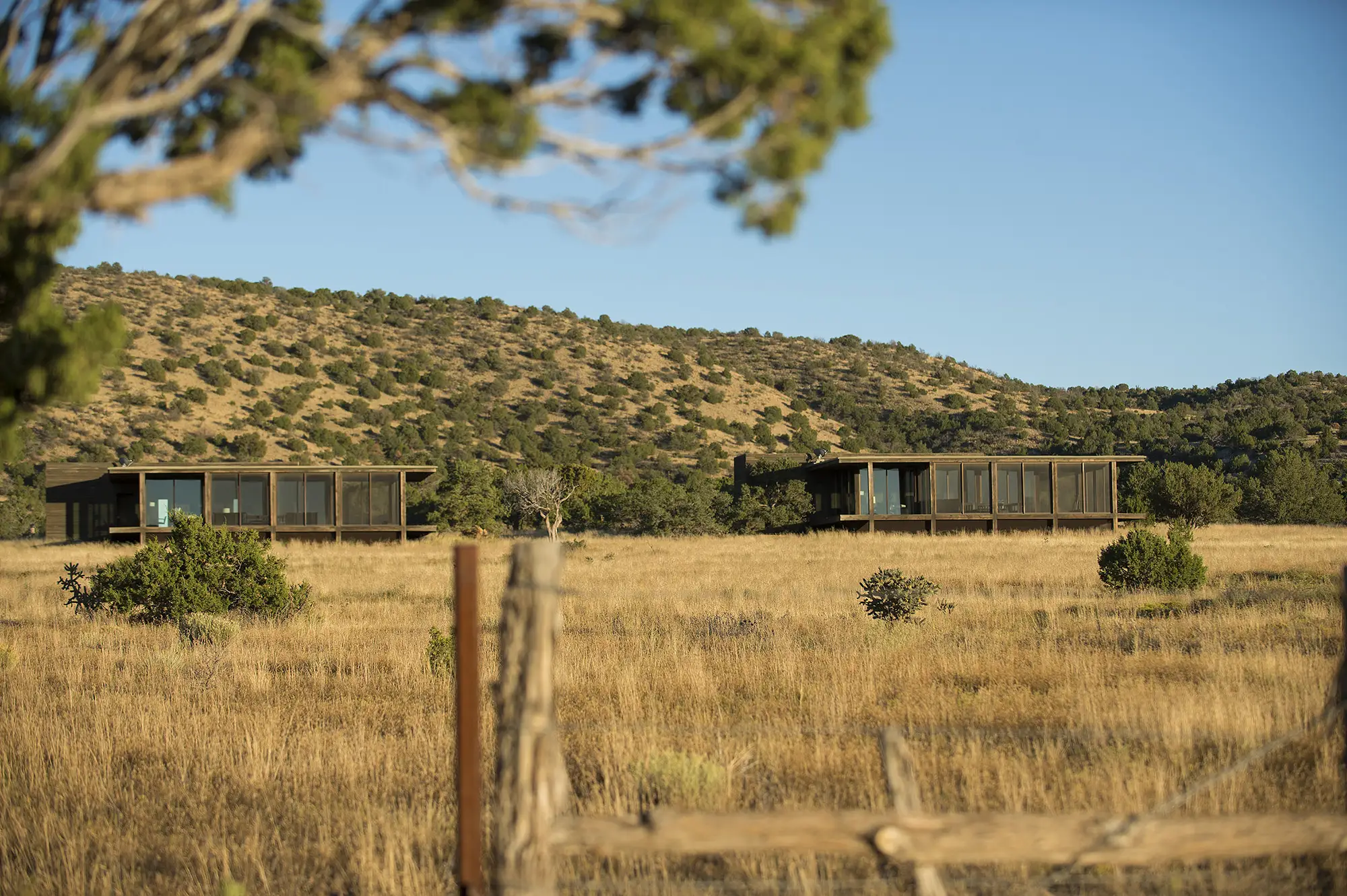 Two modern guiesthouses inside Tom Ford’s Ranch Estate Cerro Pelon Ranch with large windows are set in a sparse grassy field, surrounded by small bushes and distant hills under a clear blue sky.